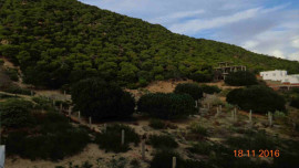 
                                                                                        Vente
                                                                                         Immeuble en bord de mer ( Tunisie )