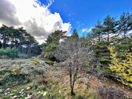 
                                                                                        Vente
                                                                                         La Martre,Bageme, chateaux-vieux ,Arriere pays VaroIs une maison 170 M2 habitable 