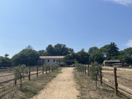 
                                                                                        Vente
                                                                                         La Motte - Villa 210m2 env. 6 pièce(s) sur terrain plat d'un hectare env. Box à chevaux Piscine