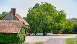 
                                                                                        Vente
                                                                                         LOIRET 400 HA PROPRIETE RURALE PLEINE NATURE