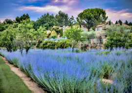 
                                                                                        Vente
                                                                                         LUBERON MAGNIFIQUE DEMEURE 17 HA