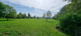 
                                                                                        Vente
                                                                                         MAISON JUMELEE AVEC PLUS DE 7500 M2 DE TERRAIN, BELLE OPPORTUNITE