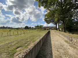 
                                                                                        Vente
                                                                                         Maison prête à l'emploi avec vignoble et maison 