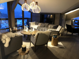 
                                                                                        Location de vacances
                                                                                         Penthouse Ourse Polaire