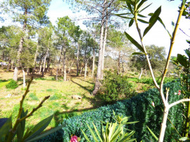 
                                                                                        Vente
                                                                                         ROQUEBRUNE SUR ARGENS