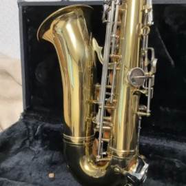 
                                                                                        Instrument de musique
                                                                                         Saxophone alto Max Tone SX-50A.