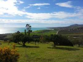 
                                                                                        Vente
                                                                                         SICILE terrain panoramique "vue mer"11500M2 projet