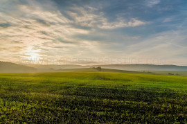 
                                                                                        Vente
                                                                                         SUD-OUEST NOUVELLE AQUITAINE Exploitation 230 HA