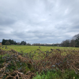 
                                                                                        Vente
                                                                                         Terrain a batir dans la forêt 