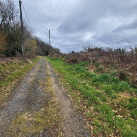 
                                                                                        Vente
                                                                                         Terrain a batir dans la forêt 