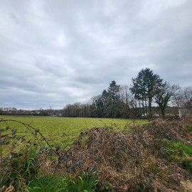 
                                                                                        Vente
                                                                                         Terrain a batir dans la forêt 