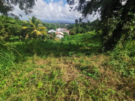 
                                                                                        Vente
                                                                                         Terrain à Redoute Fort de france