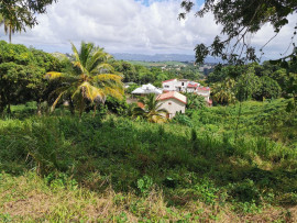 
                                                                                        Vente
                                                                                         Terrain à Redoute Fort de france