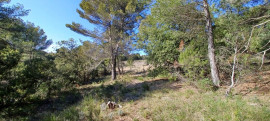 
                                                                                        Vente
                                                                                         Terrain constructible 2610m2 Baudinard sur Verdon