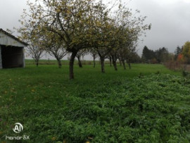 
                                                                                        Vente
                                                                                         Terrain constructible  arboré d'arbres fruitiers