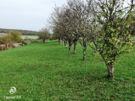 
                                                                                        Vente
                                                                                         Terrain constructible  arboré d'arbres fruitiers