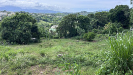 
                                                                                        Vente
                                                                                         Terrain constructible situé à la périphérie du sud Caraïbe et atlantique proche de la route communale.