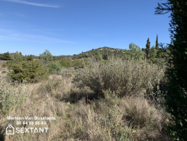 
                                                                                        Vente
                                                                                         Terrain de loisirs au pied d'une pinède