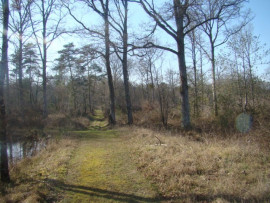 
                                                                                        Vente
                                                                                         Terrain de loisirs - forêt - étangs