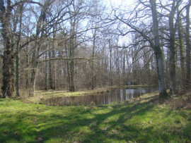 
                                                                                        Vente
                                                                                         terrain de loisirs - forêt - étang - prairie