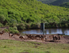 
                                                                                        Vente
                                                                                         URUGUAY - LODGE CHASSE 1500 HA