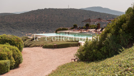 
                                                                                        Location de vacances
                                                                                         Villa Woodward