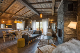 Appartement Skylight Megève