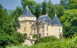 BORDEAUX – CHATEAU VITICOLE – XVIème 100 HA Bordeaux