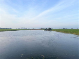 HUTTE DE CHASSE DANS LES FLANDRES (DUNKERQUE NORD) Dunkerque