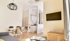 Magnifique appartement en centre ville (loyer tout inclus) Lyon