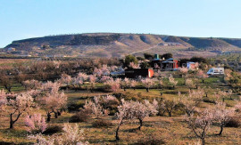 Petit paradis Bernac