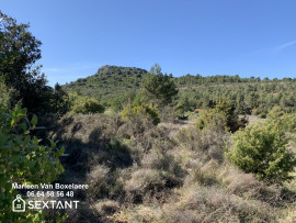 Terrain de loisirs au pied d'une pinède DURBAN CORBIERES