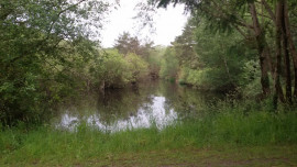 Terrain de loisirs - forêt - étangs Ambillou