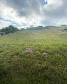 terrain viabilisé de 1094 m² à 15 min d'Auxerre Vermenton