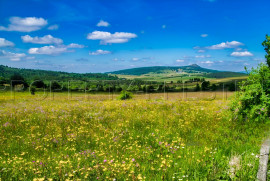 ARDECHE FERME 48 HA RUISSEAU SOURCES Les Vans