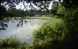 AUDE DOMAINE 184 HA LAC GÎTES Carcassonne