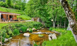 AUVERGNE MOULIN GITES CHAMBRES D’HÔTES RIVIERE 1.5 HA Celles Sur Durolles