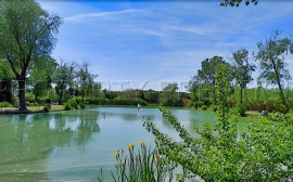 CAMARGUE ETANG DE PECHE 3,4 HA Aimargues