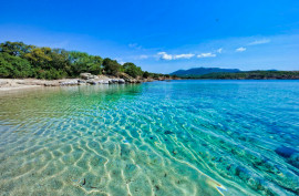 CORSE SUD TERRAIN 1,9 HA PROJET CAMPING Figari