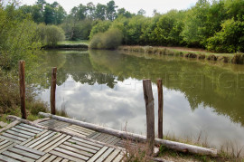 DORDOGNE PROPRIETE 6 HA ETANG PUITS Beauronne