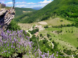 DROME PROVENCALE DOMAINE 28 HA PLEINE NATURE Dieulefit