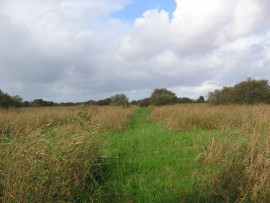 Marais tourbeux sur 6 Ha avec étangs, huttes... Saint-Omer