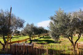 Parcelle de jardin potager / terrain de loisirs Mauguio