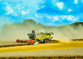 SUD-OUEST NOUVELLE AQUITAINE Exploitation 230 HA Mont De Marsan