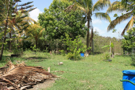 TERRAIN DE 660 M² DE DROITS A CONSTRUIRE Saint-François