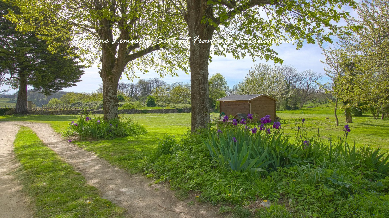 
                                                Vente
                                                 Ancienne propriété viticole: 3 habitations et vue dégagée 