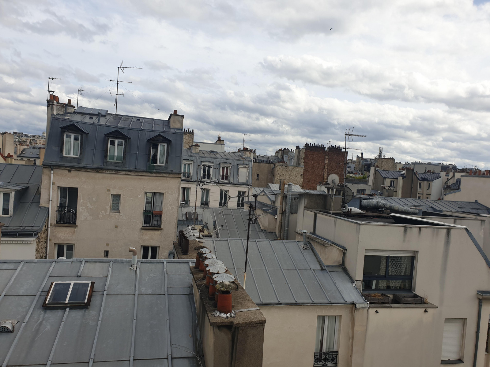 
                                                Vente
                                                 Appartement 1 pièce