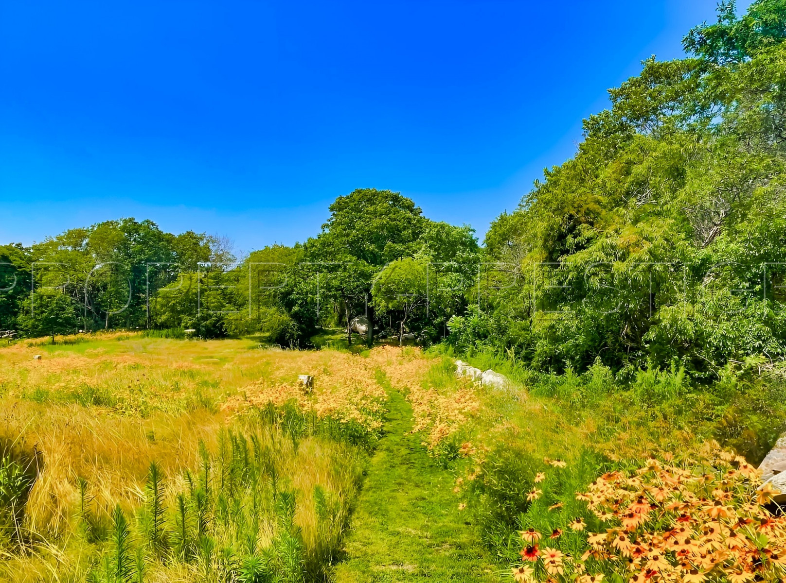 
                                                Vente
                                                 ARDECHE FERME 48 HA RUISSEAU SOURCES