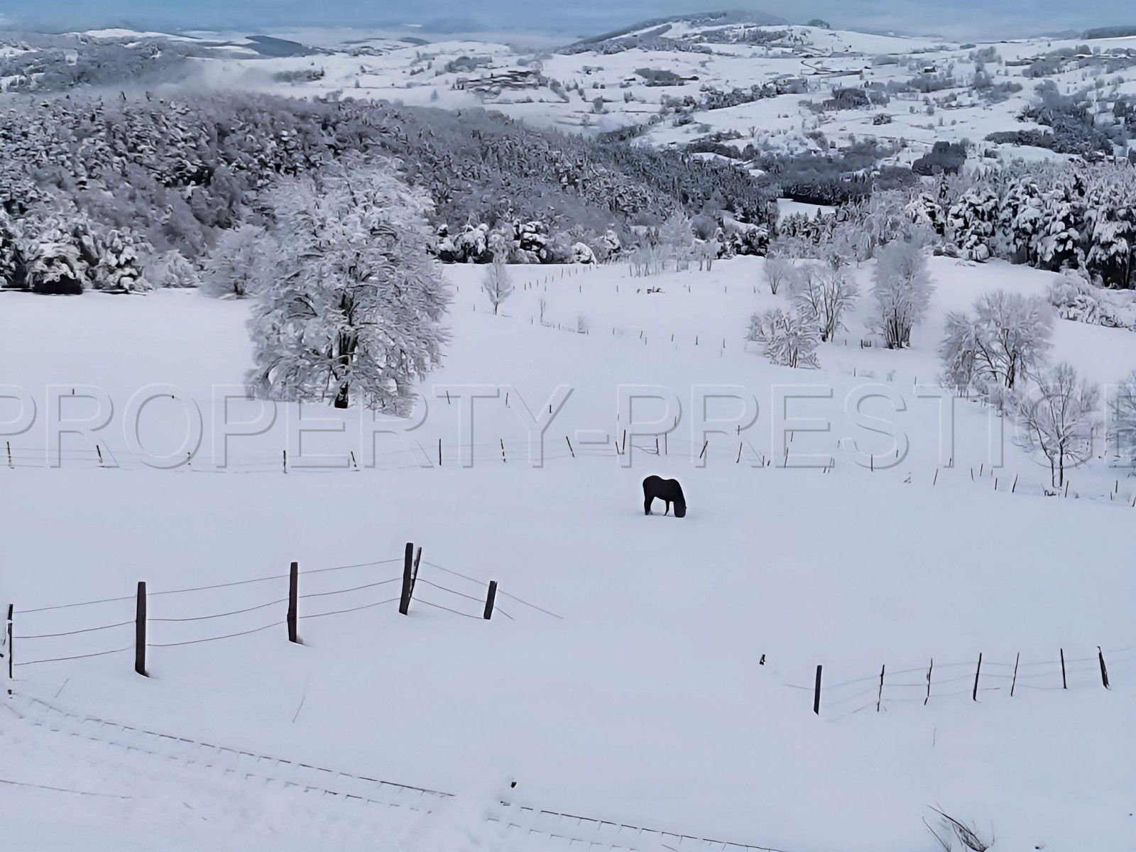 
                                                Vente
                                                 ARDECHE PROPRIETE 460 M² VUE EXCEPTIONNELLE