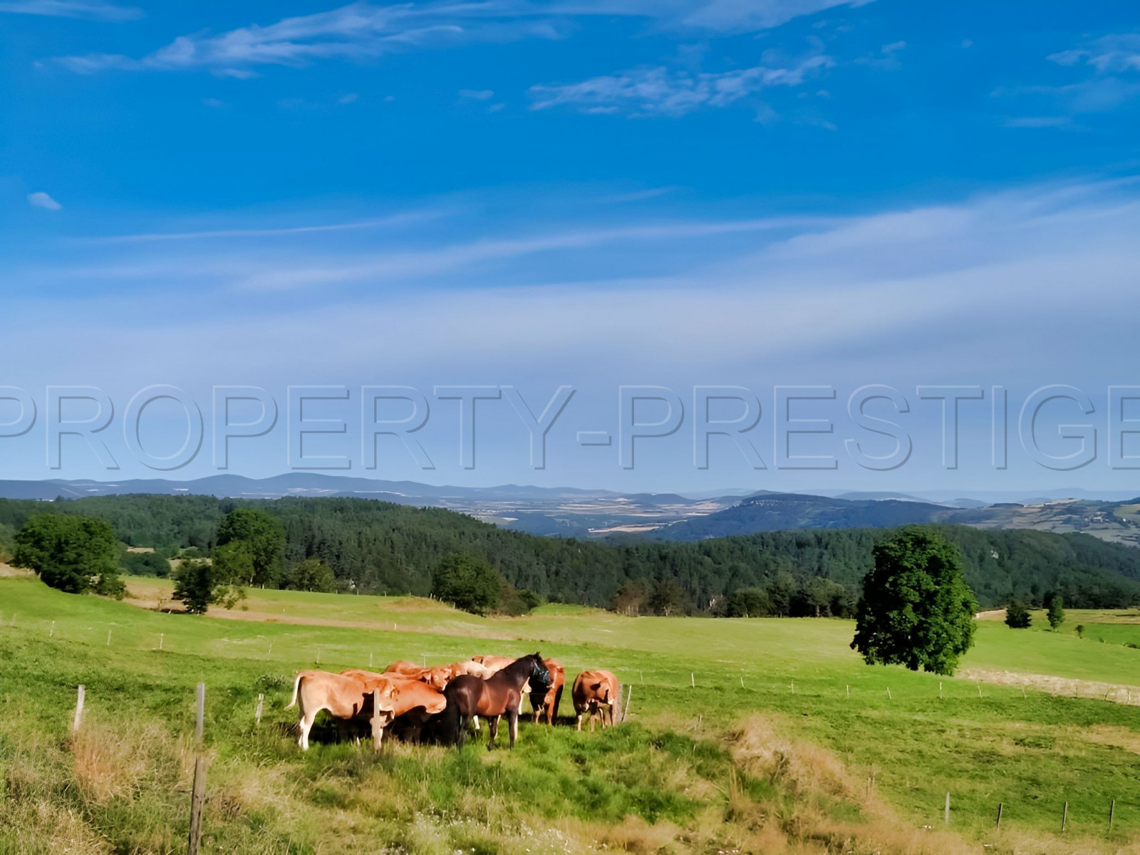 
                                                Vente
                                                 ARDECHE PROPRIETE 460 M² VUE EXCEPTIONNELLE